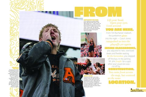 2025 <em>Ledoian</em> image 4