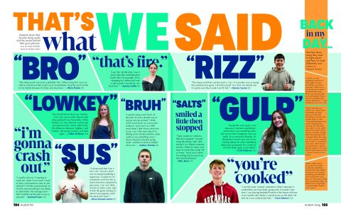 2025 <em>Ayrie</em> image 6