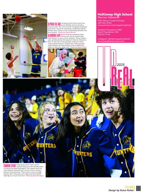 2025 <em>The Lion</em> image 3