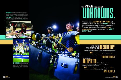 2025 <em>The Lion</em> image 4