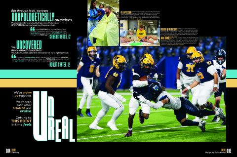 2025 <em>The Lion</em> image 5