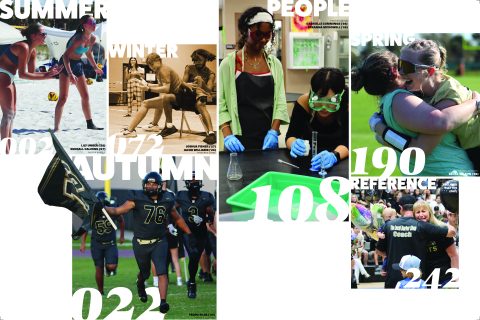 2025 <em>The Stampede</em> image 2