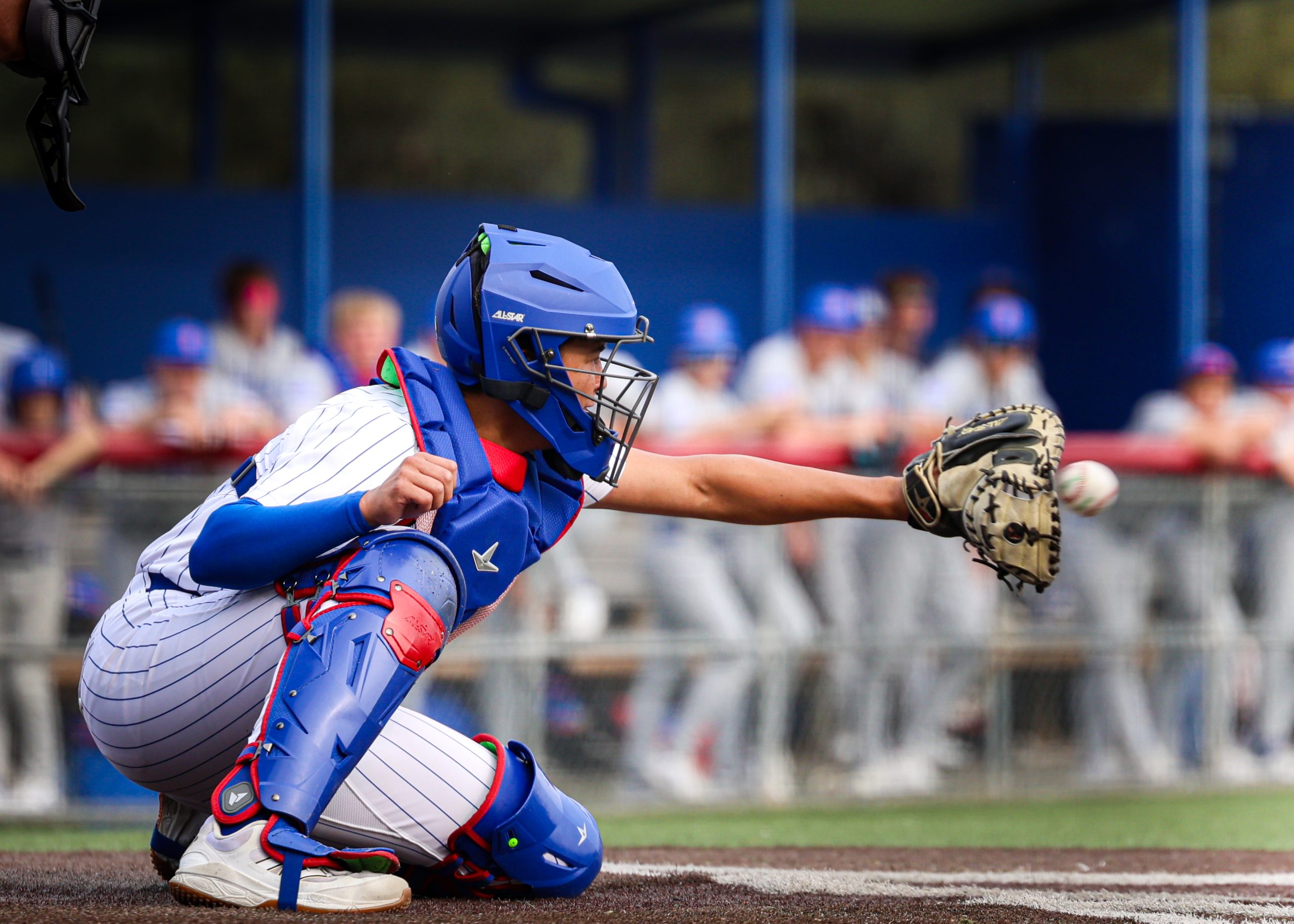 11614245848_5L7A7562