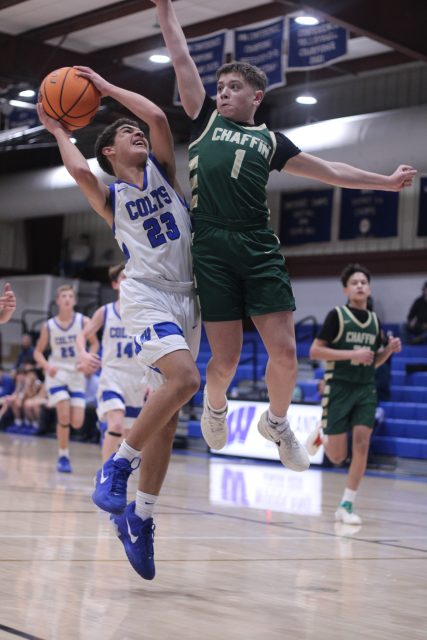 Honorable Mention – Hailey Johnson1