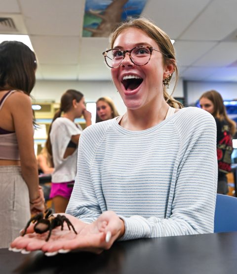 Honorable Mention – Molly Scott