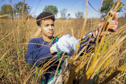 Honorable Mention – Noah Gunning