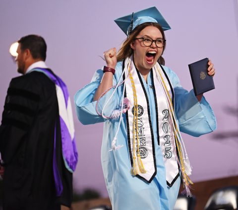 Honorable Mention – Francesca Lorusso