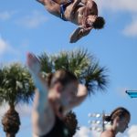 11384655230_Zenith-1731